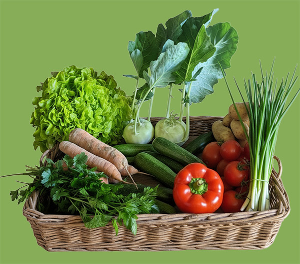 Großer Ernteanteil der Solawi Heckengäu